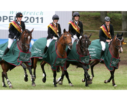 In der Besetzung Jana Weyers (Kamp-Lintfort) mit Lardina, Freya Füllgraebe (Krefeld) mit Oje Oje, Ben Leuwer (Königswinter) mit Cappuccino und Calina Nothofer (Kamp-Lintfort) mit Simba gewann die rheinische Verbandsmannschaft die Deutsche Mannschaftsmeisterschaft in Lonnerbecke.